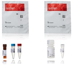 Invitrogen EnzChek 3C-like Protease (3CLpro) Papain-like Protease (PLpro) Assay Kits 5 x 100 Assays | Buy Online | Invitrogen&trade; | Fisher Scientific
